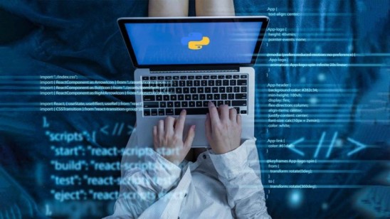 Factors Behind the Popularity of Python