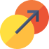 Circular Economy Transition Strategies
